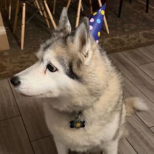 Meet your Posher, Kristin